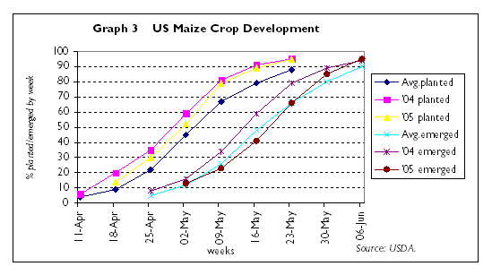 perspective plantings