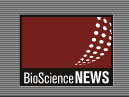 BSN logo
