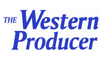 WP logo